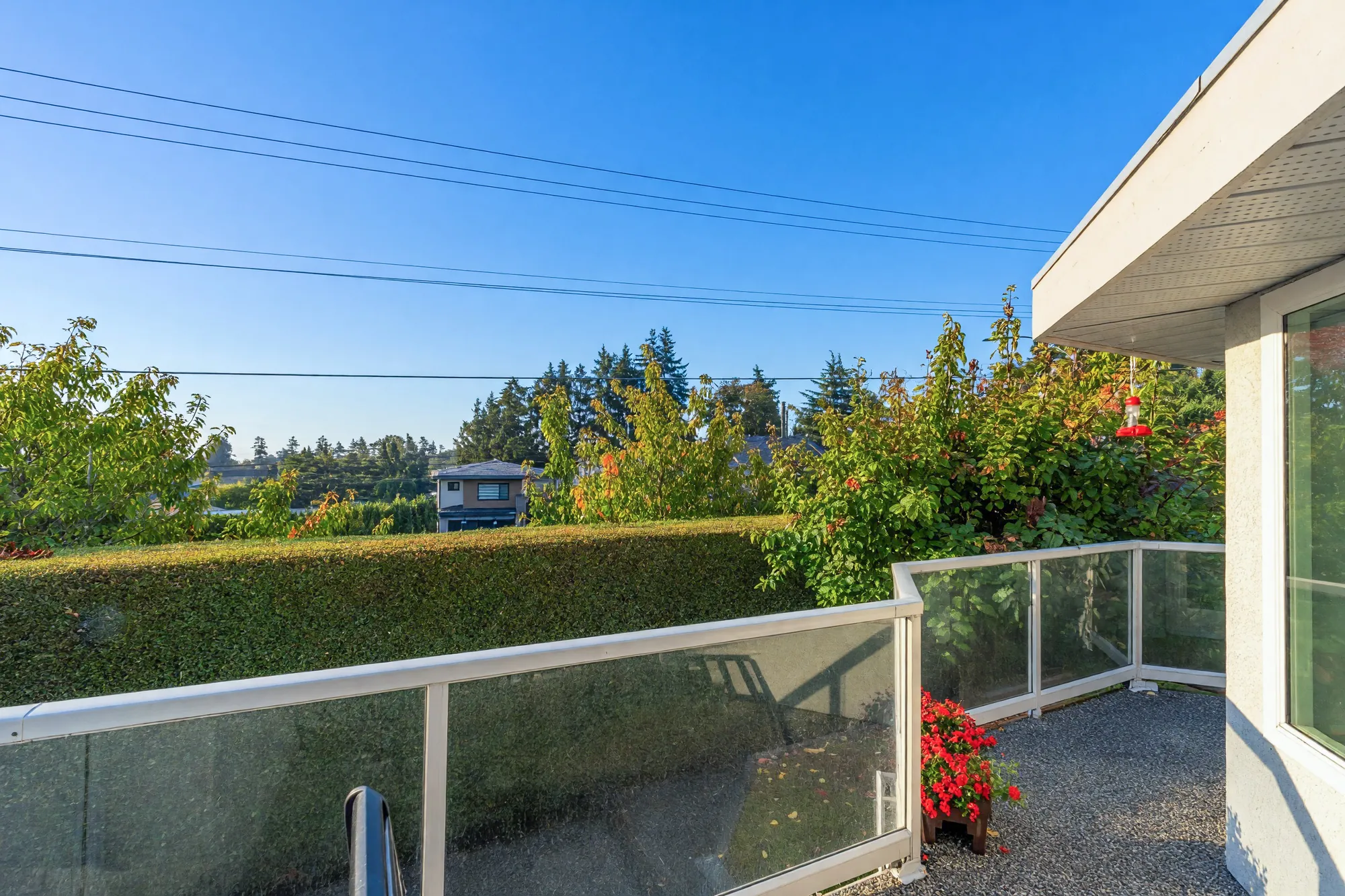 Along the deck: glass railings, a planter of geraniums, the top of a hedge and trees beyond, power lines overhead