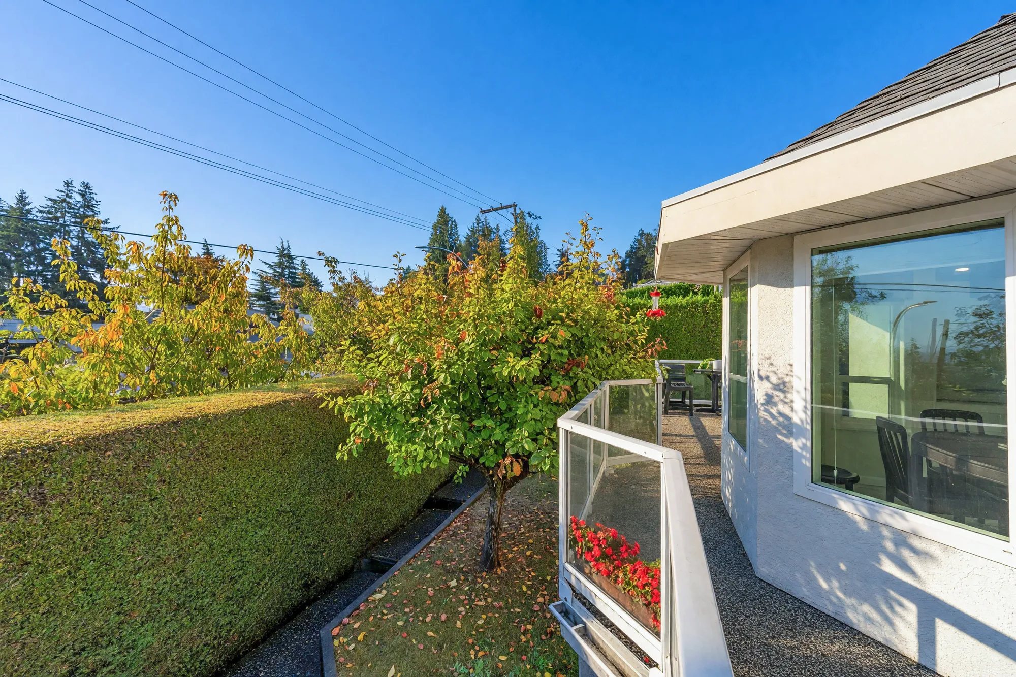 The deck as a walkway beside the bay window of the breakfast nook, glass railings and a hedge on the other side