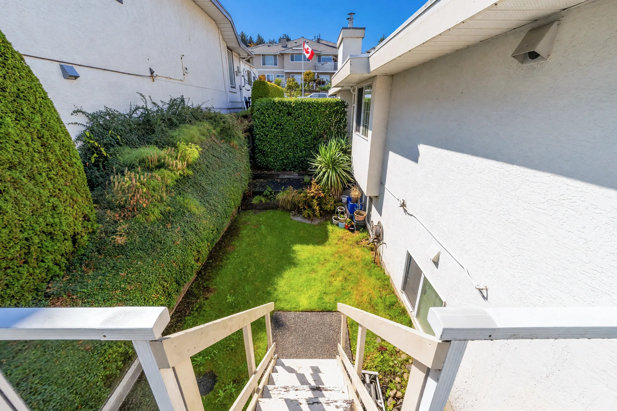 The side garden seen from the top of the deck stairs: a lawn between a hedge and the house, planting at the far end